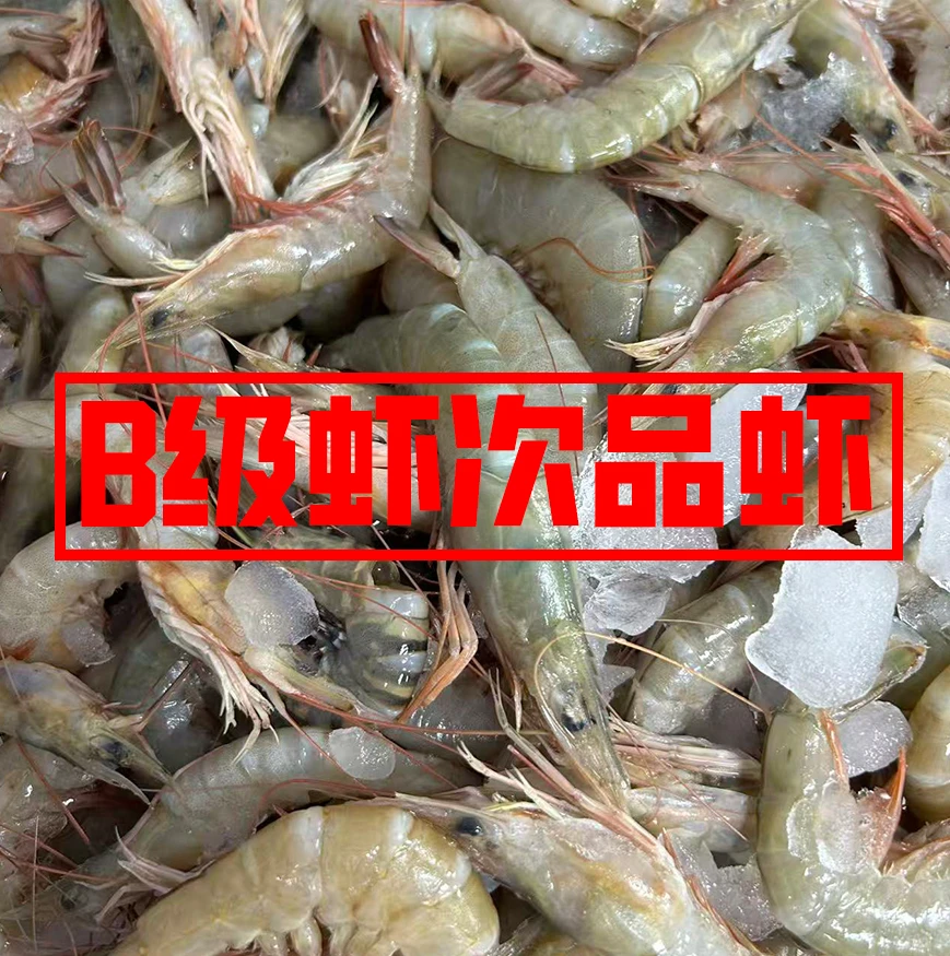 B级虾 次品虾 链接  直播现称 祥芝渔港海鲜