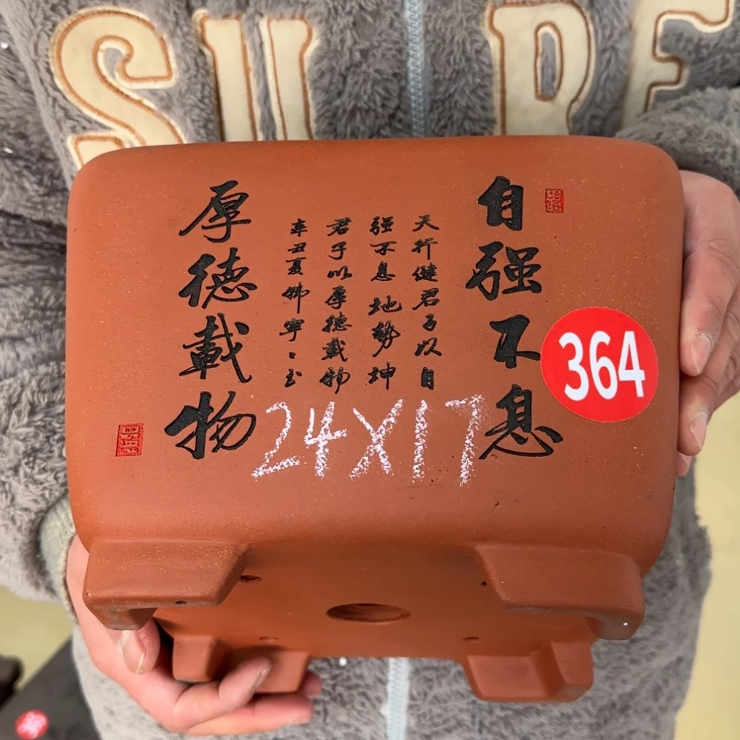 紫砂花盆呜呜呜呜