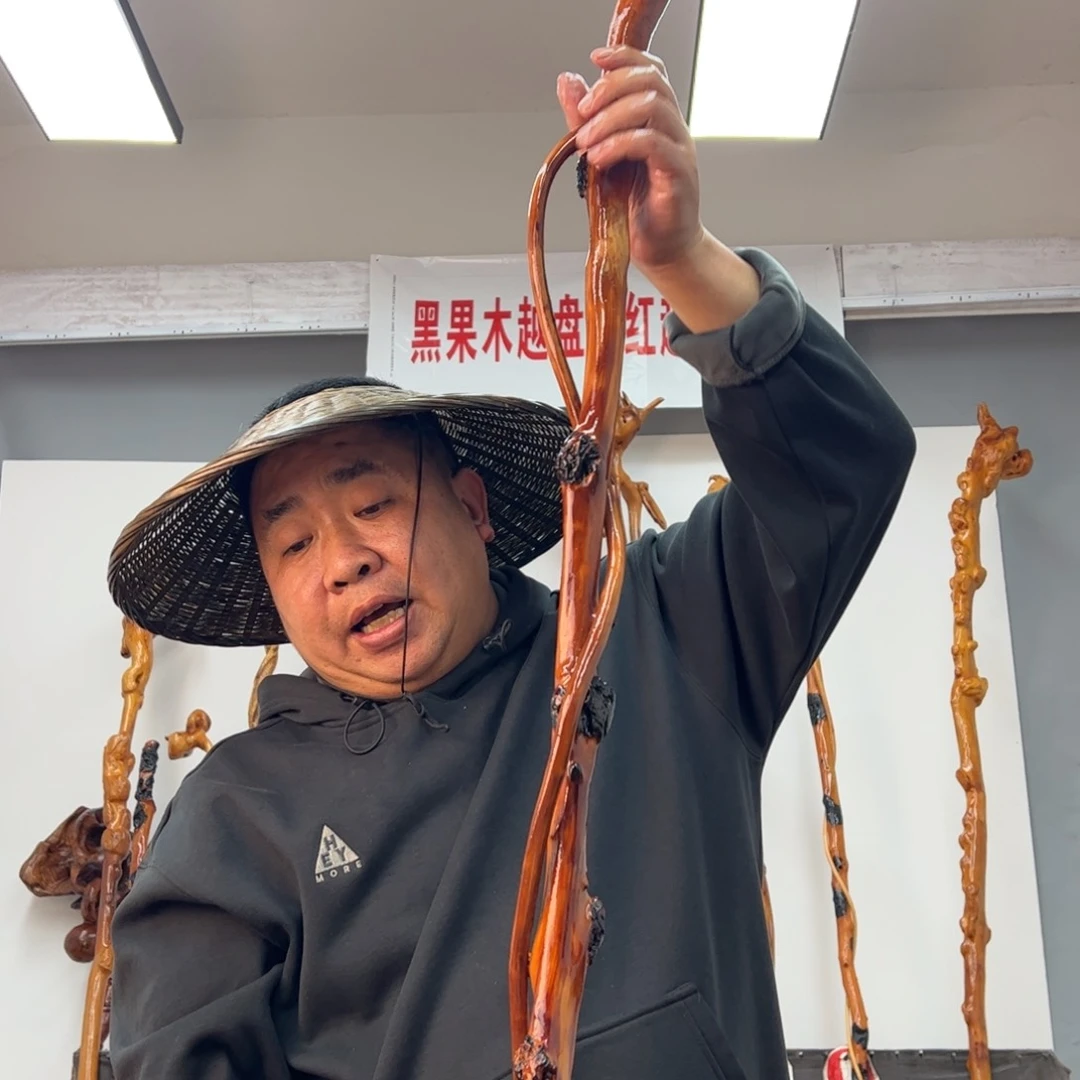 黑果木其他豆*黑果木523