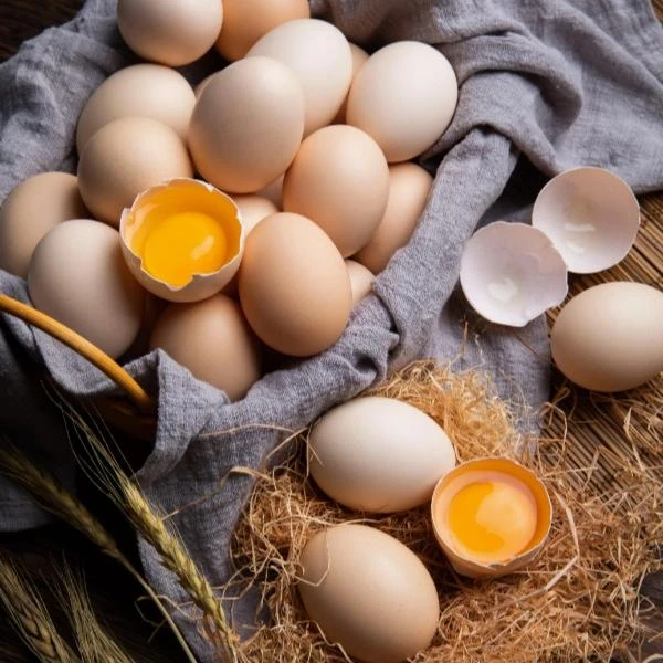 10个包邮包售后