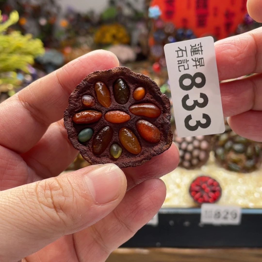 核桃木/黑胡桃（胡桃木）833