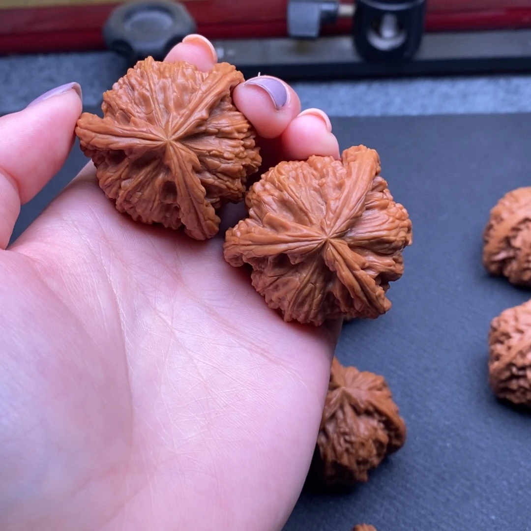 我***啦白狮子1111111111