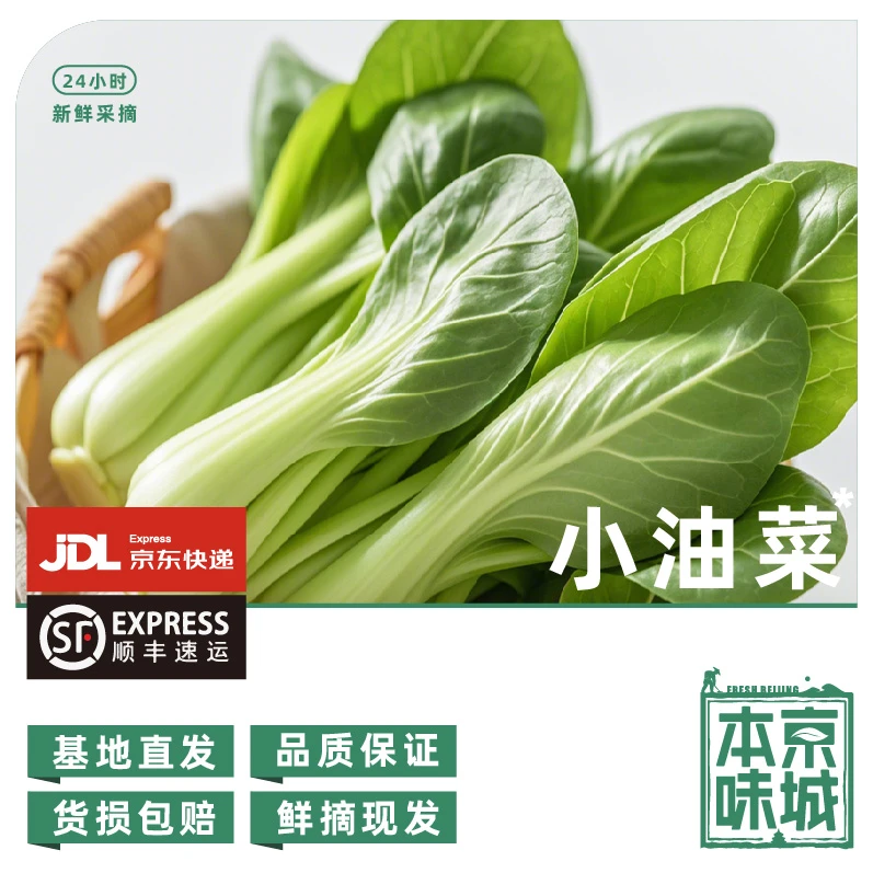 房【老太太家的菜园子-小油菜】2斤装(±2)两 脆嫩清甜嫩鲜 有虫眼介意勿拍绿色蔬菜小油菜