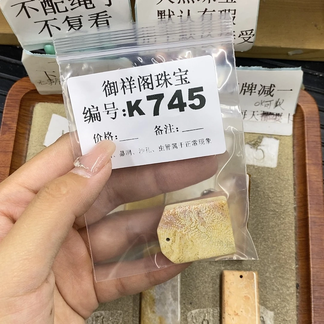 硅化珊瑚（珊瑚玉）未镶嵌颈饰没****态