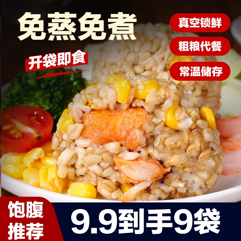 鸡肉燕麦饭团粗粮代餐开袋即食营养手工现做现发
