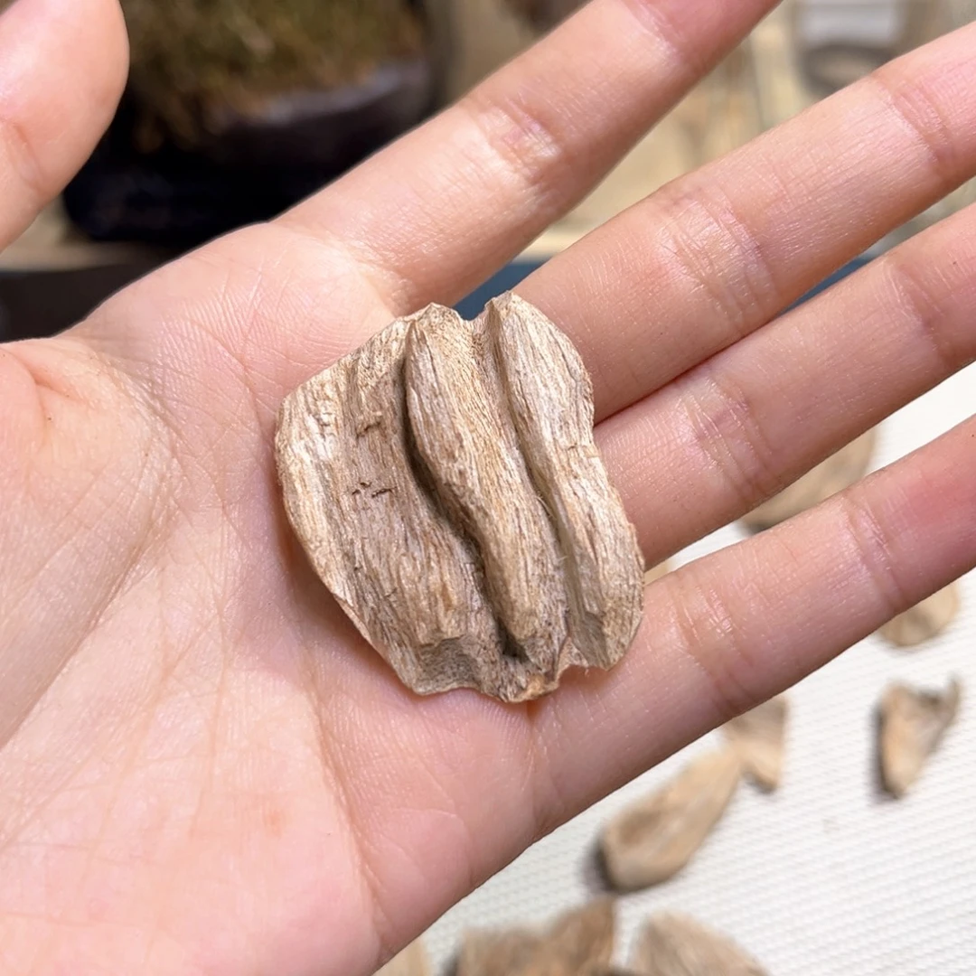 小***啊香榧木广西虎斑棋1.5克