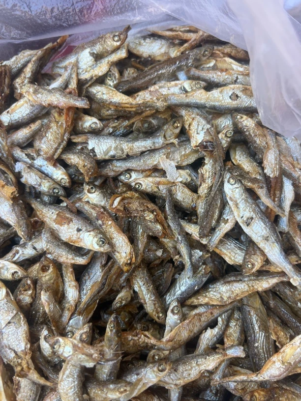 农村赶集新鲜本地干鱼