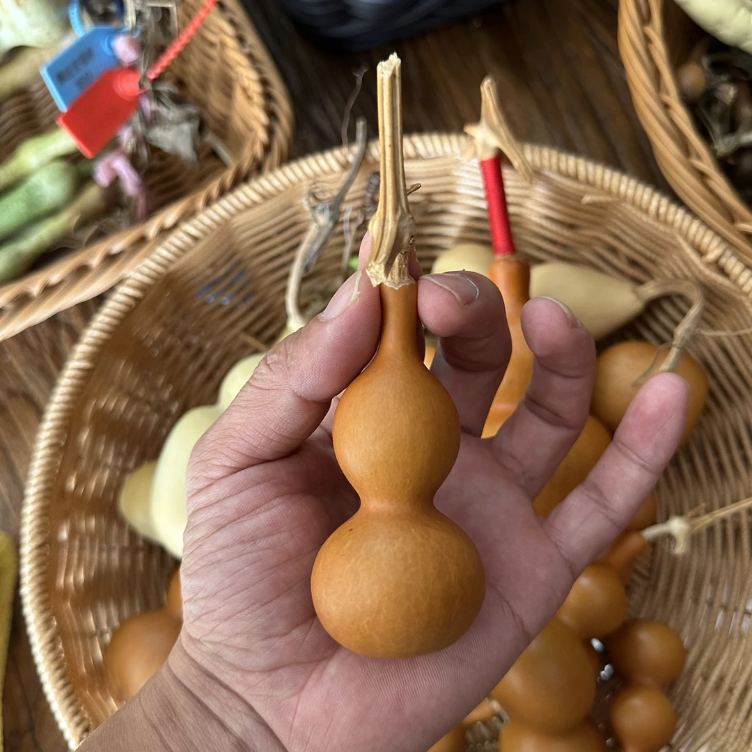 精品葫芦直播间链接，请勿私拍