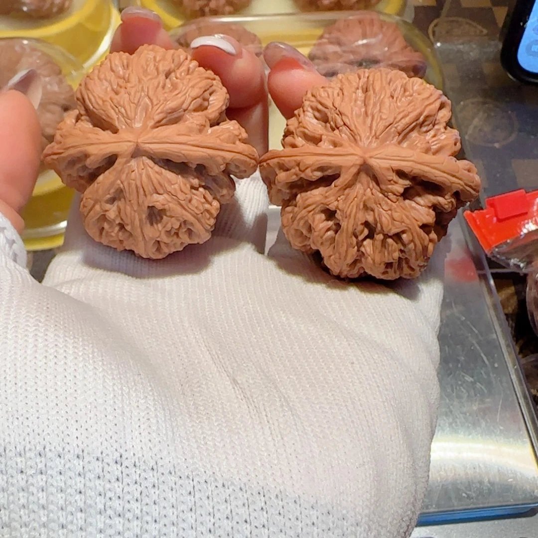 桃核吊坠44+有修大粗筋