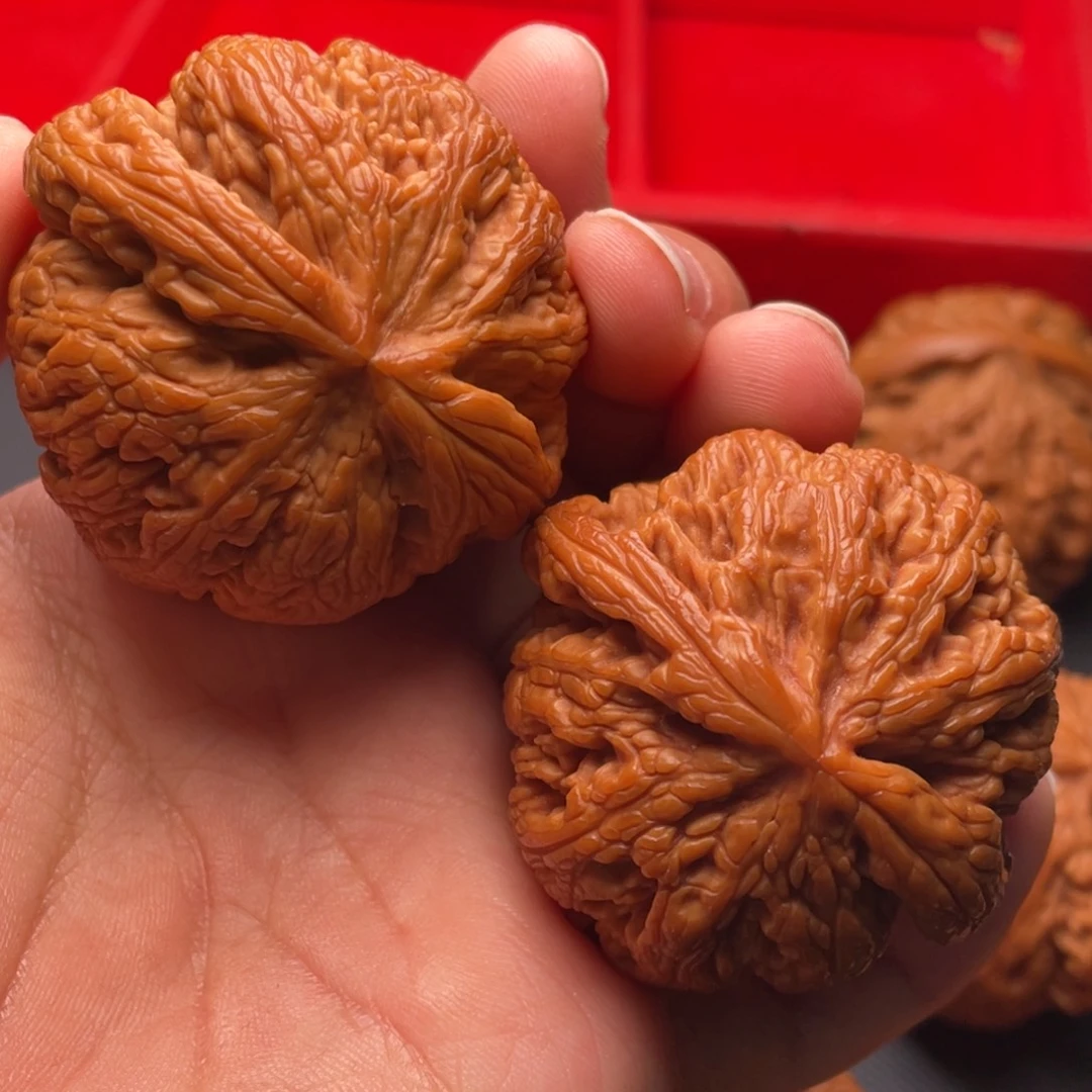文玩核桃把件秦岭山脉