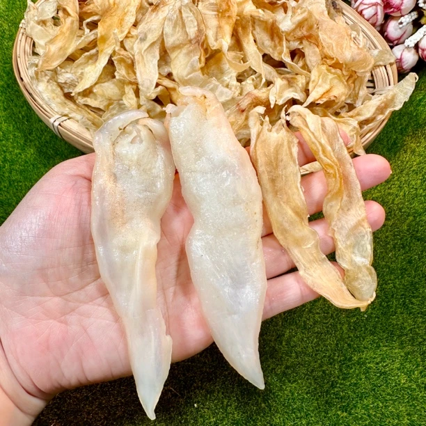 【宠粉到底】约230头小北海鳘鱼胶
