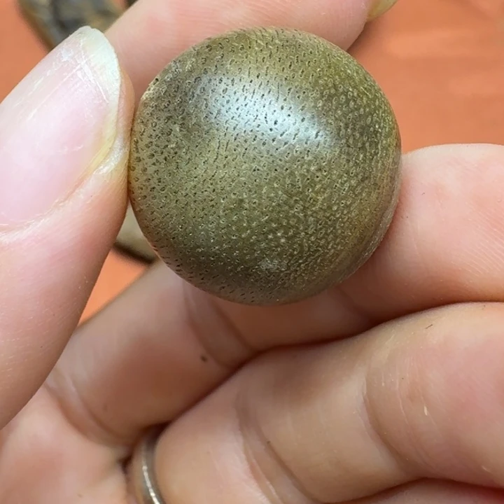 大叶紫檀（黑酸枝木类）