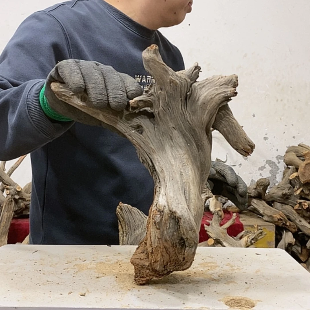 【闪购商品】柏木沐**主我们都是好孩子