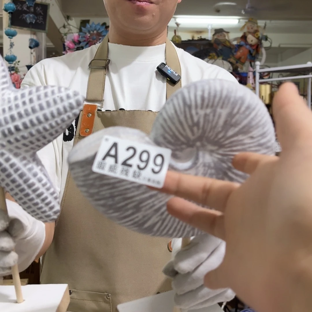 核桃木/黑胡桃（胡桃木）