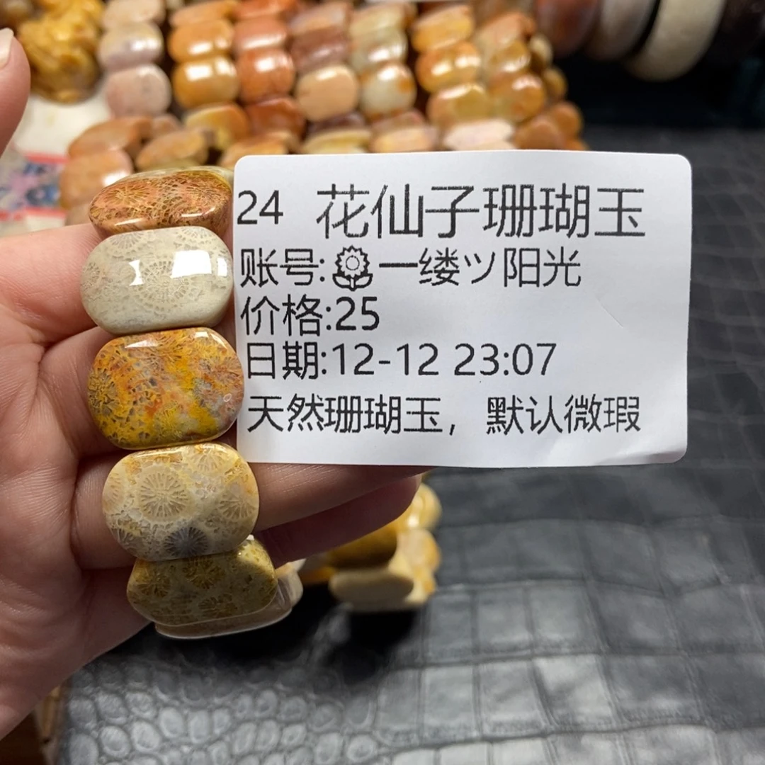 ****光硅化珊瑚（珊瑚玉）未镶嵌珠宝半成品24