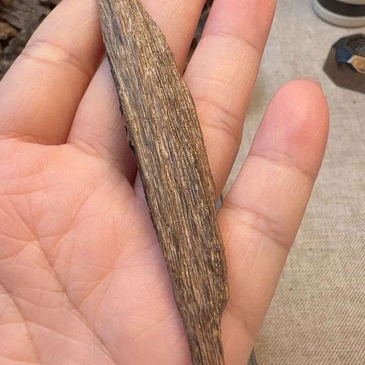 摆件沉香海南野生虫漏3克
