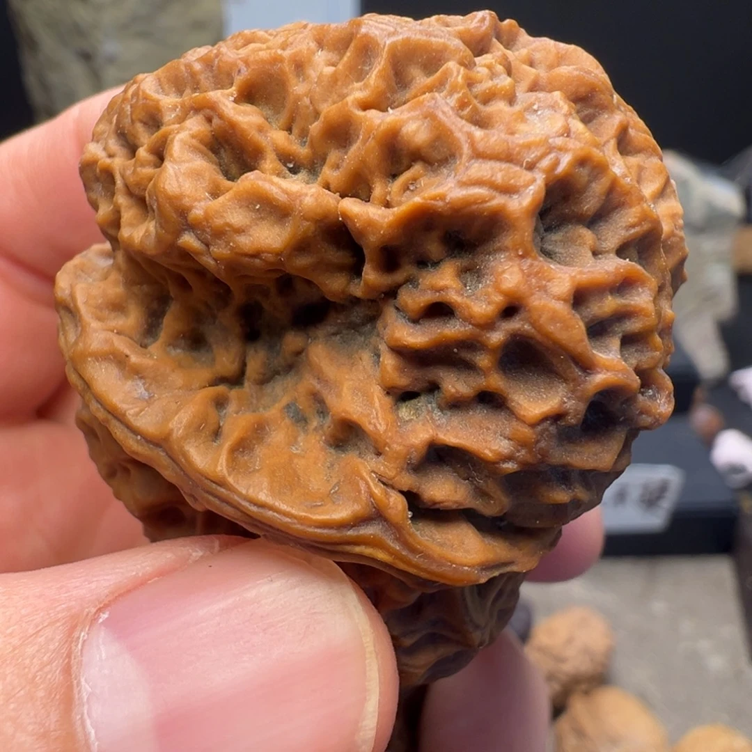 文玩核桃吊坠蛮荒古蟾46mm