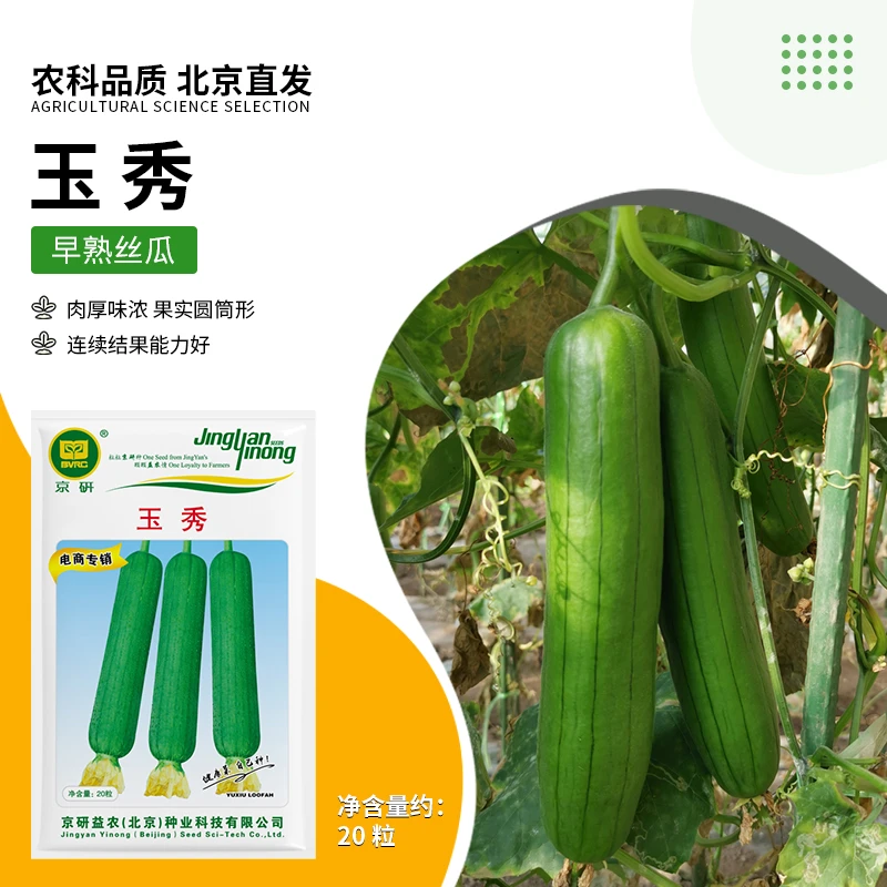 【农科院】丝瓜种子肉丝瓜种子长丝瓜种子四季蔬菜种子年货节推荐