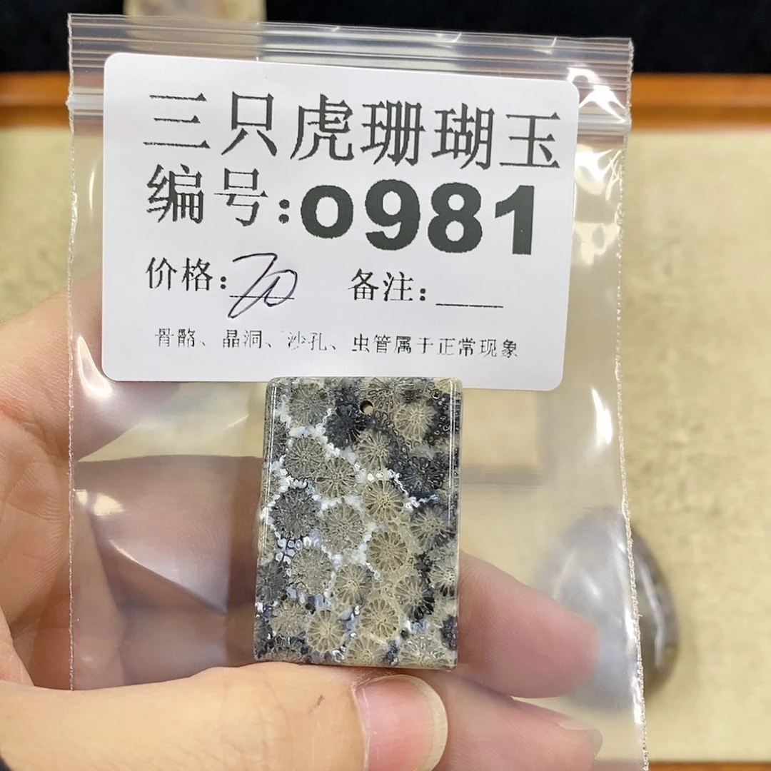 硅化珊瑚（珊瑚玉）1未镶嵌晒****钙