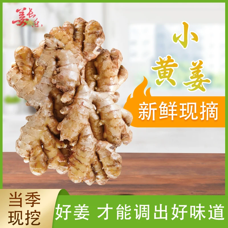 【带箱3斤】高山二黄姜小黄姜精选老姜姜味十足小生姜小黄姜二黄姜