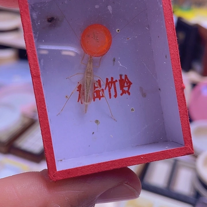 布***衣黑金1啊啊啊啊啊啊啊