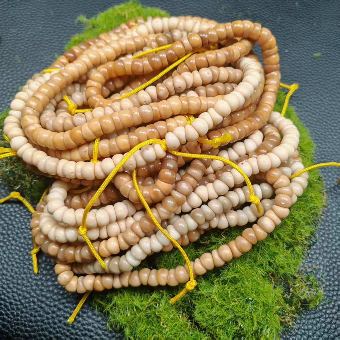 尺寸7mm左右龙脊菩提大肠带月一条多样性发货发起一《小鱼文玩》