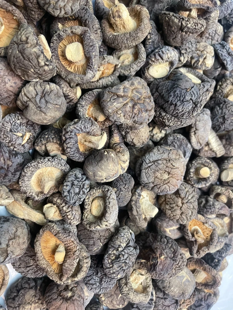 精选香菇  500g（百合干）