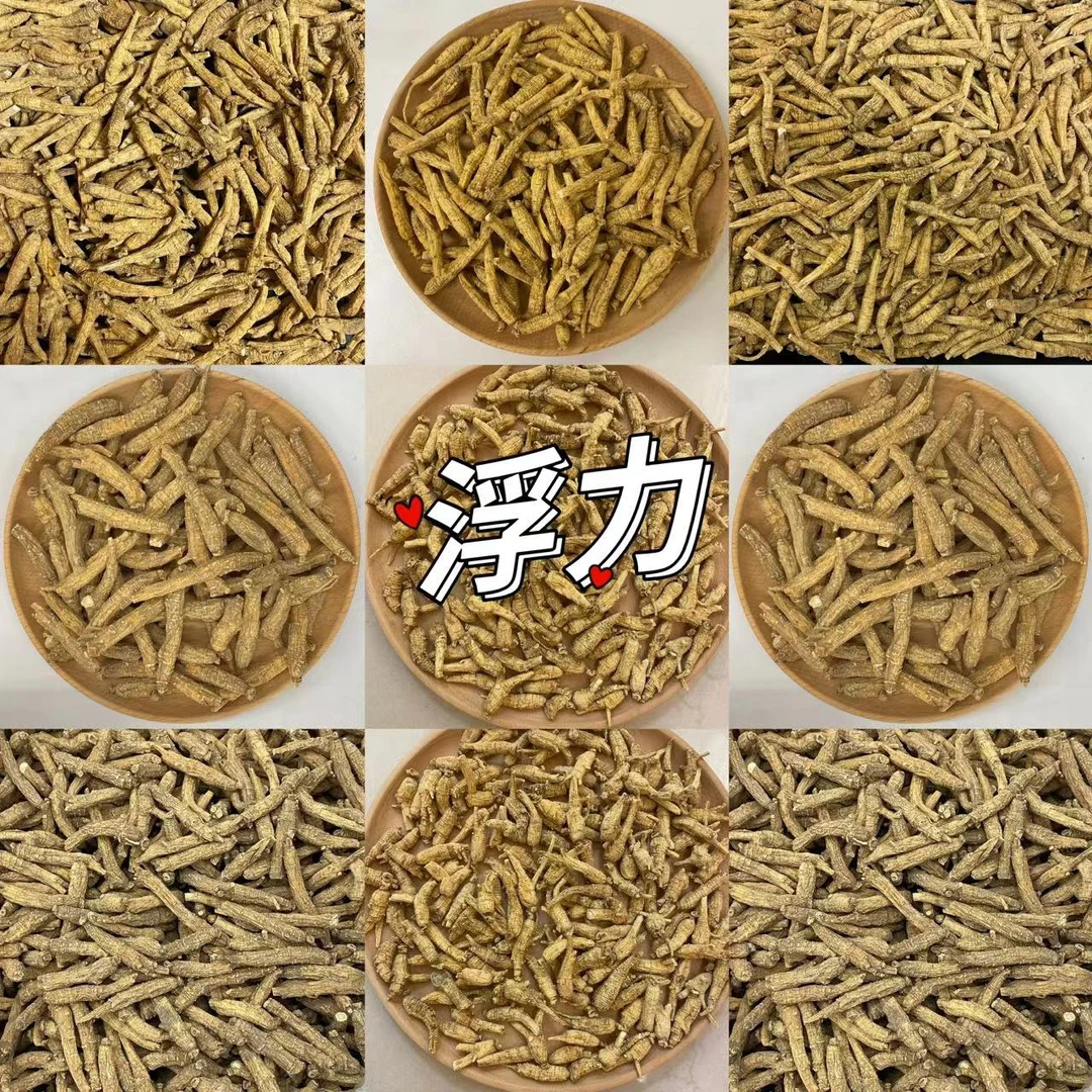 【年尾捡漏】尖尾西洋参 1斤 西洋参