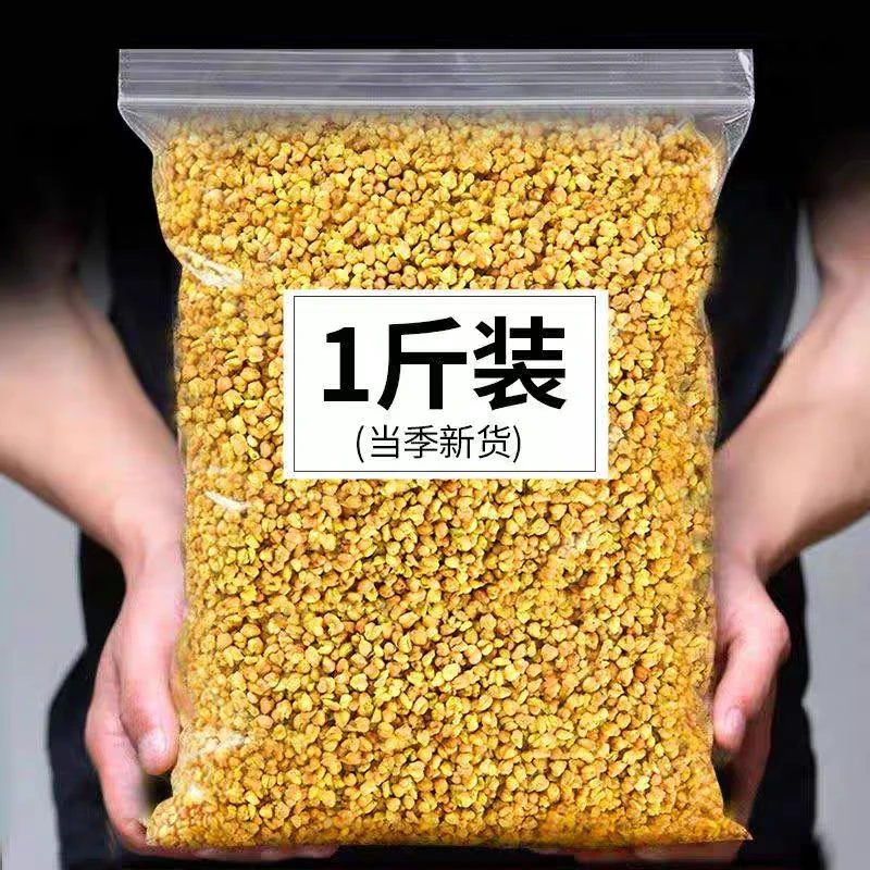 黄苦荞四川大凉山新货苦荞茶500g浓郁干吃泡水干净上等黄苦荞茶