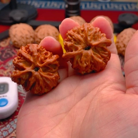 哈***笑把件文玩核桃粗筋虎