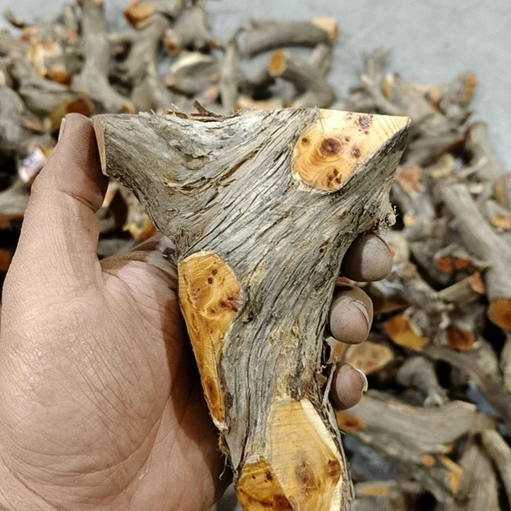风***梦香榧木崖柏原叉崖柏原叉崖柏