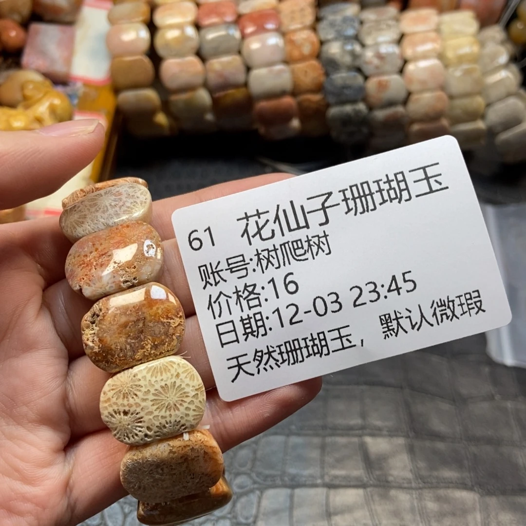 树***树硅化珊瑚（珊瑚玉）合金手镯