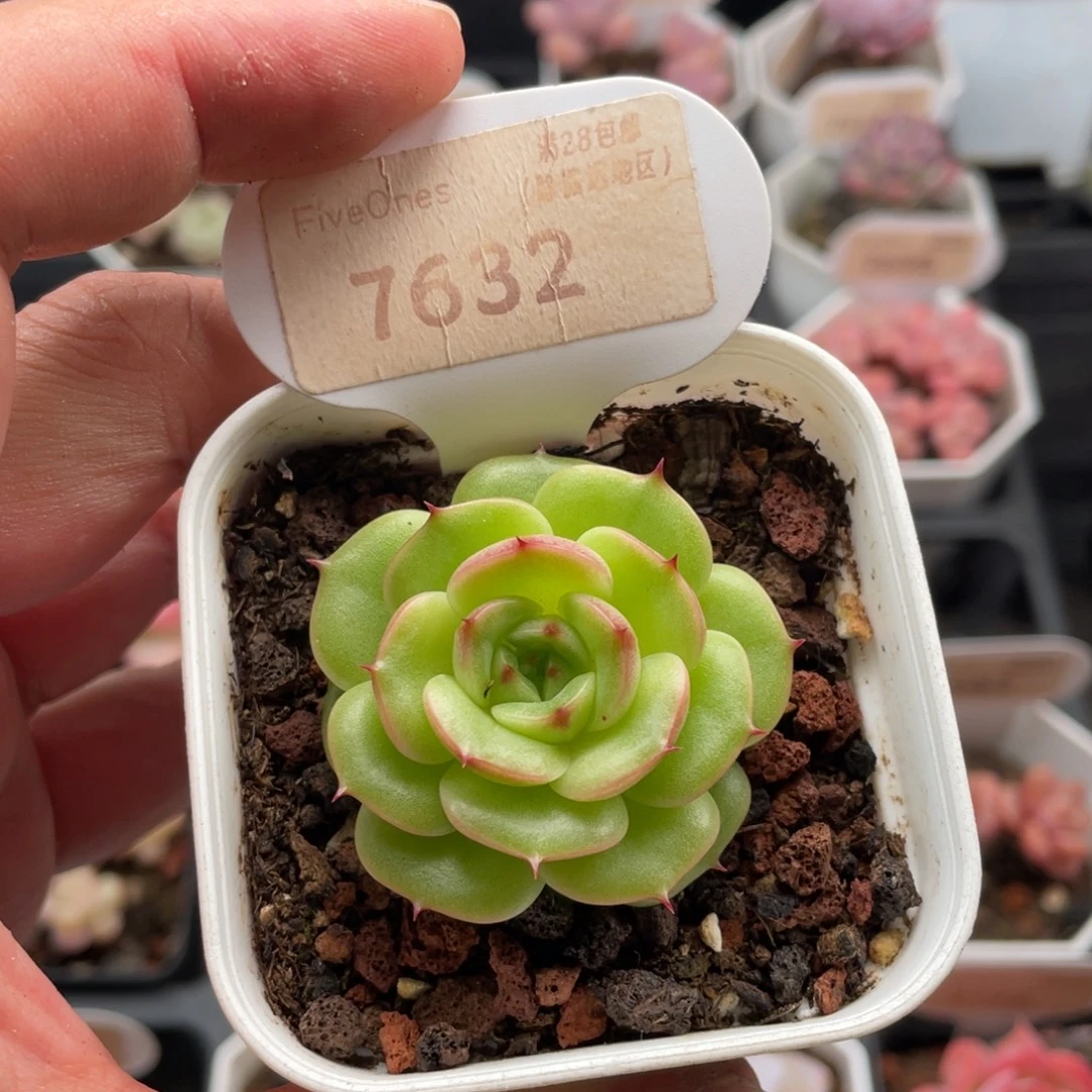 圆星7632-4.0厘米