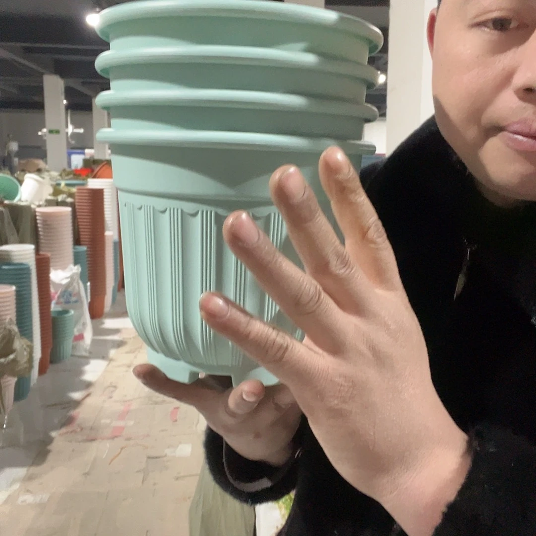 树脂罗马210浅绿4个无托