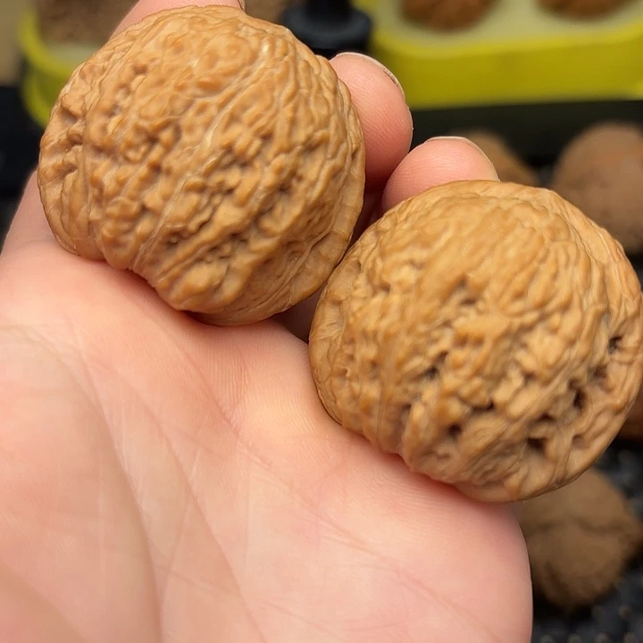 文玩核桃吊坠39全品绣球狮子头