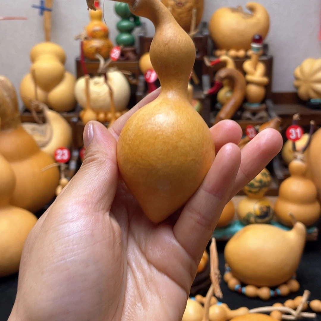 ✨****兰大自然的秘密第十一节的秘密