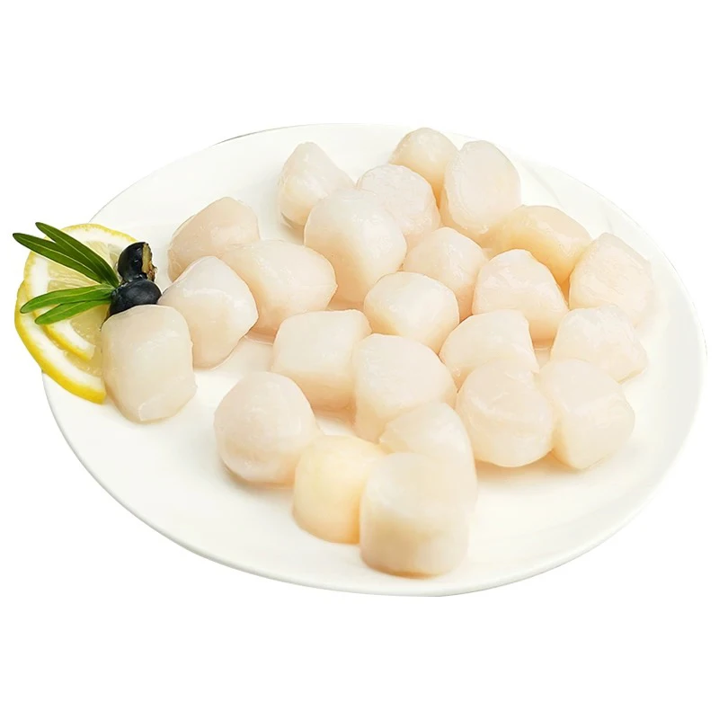新鲜干贝肉瑶柱煲汤冷冻1斤/包