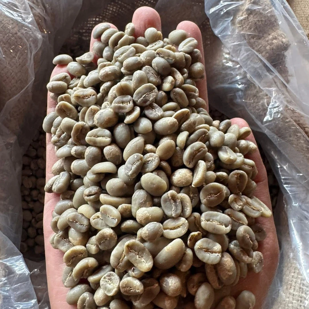 印尼北苏门答腊曼特宁精品咖啡生豆一级阿拉比卡手冲专用咖啡豆