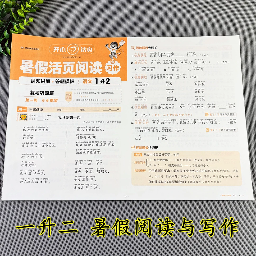 一升二暑假阅读与写作暑假阅读理解训练书一年级活页暑假阅读写作