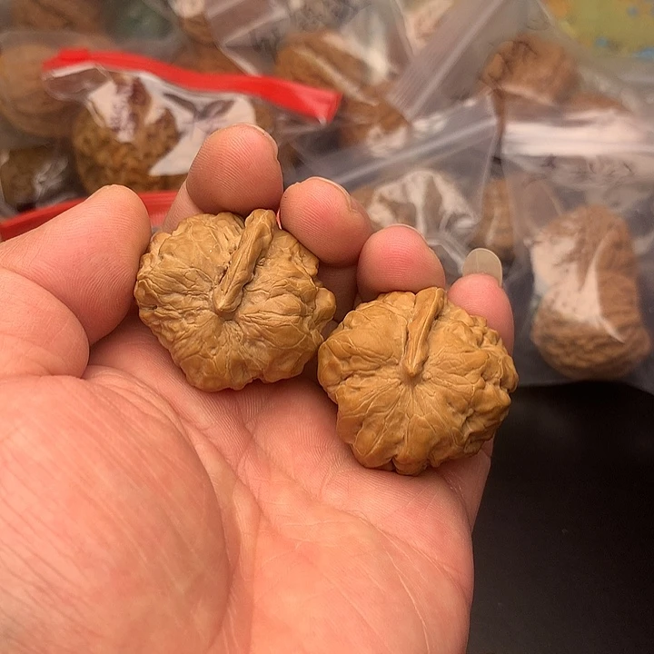 核桃一帆风顺一根筋