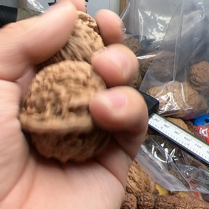 金刚菩提吊坠融**麒麟