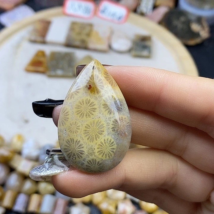 针钠钙石（海纹石）未镶嵌颈饰1