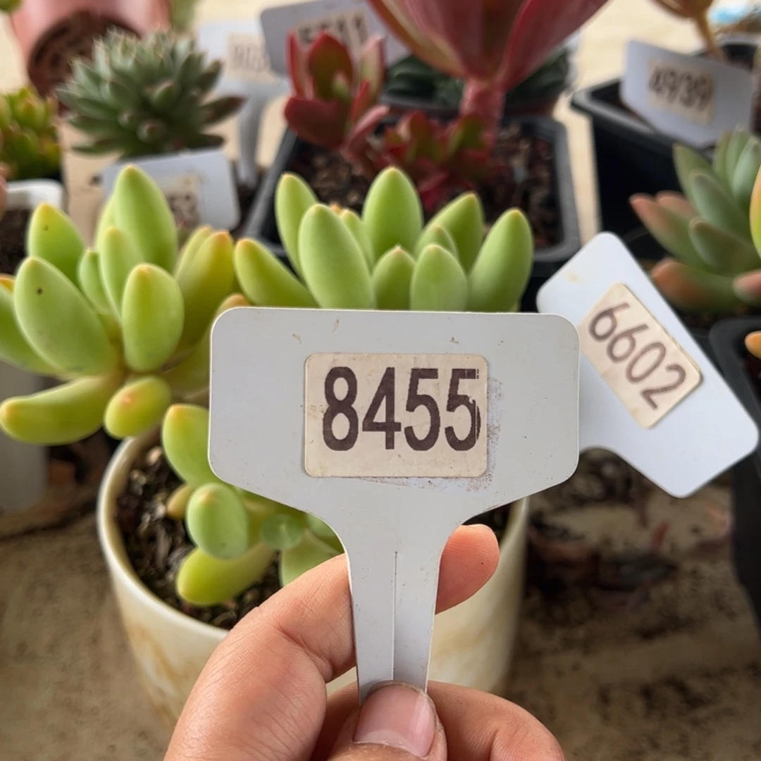 【闪购商品】又****天8455。 111111