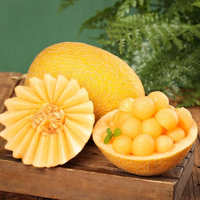 【新疆直发】新疆发货金色年华哈密瓜CAYX