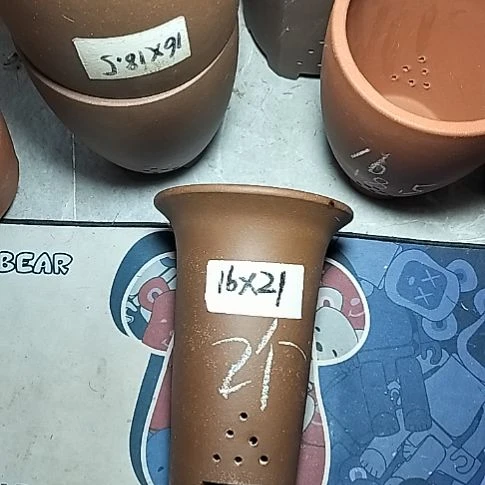 小红兰花两个微瑕