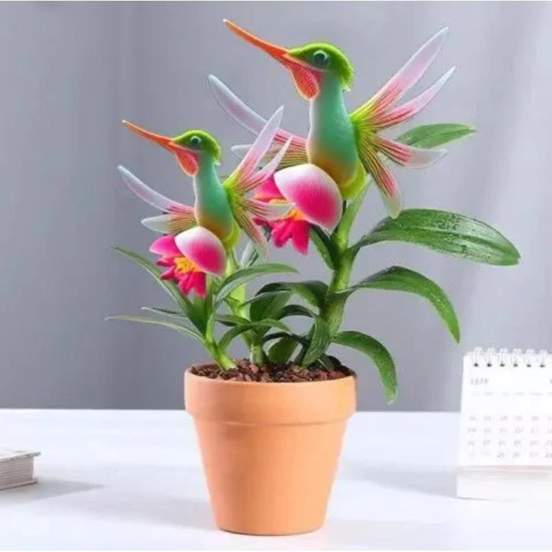 【新店特惠】爆款热卖买金鸿鸭种球花满屋香浓香新款盆栽除甲醛