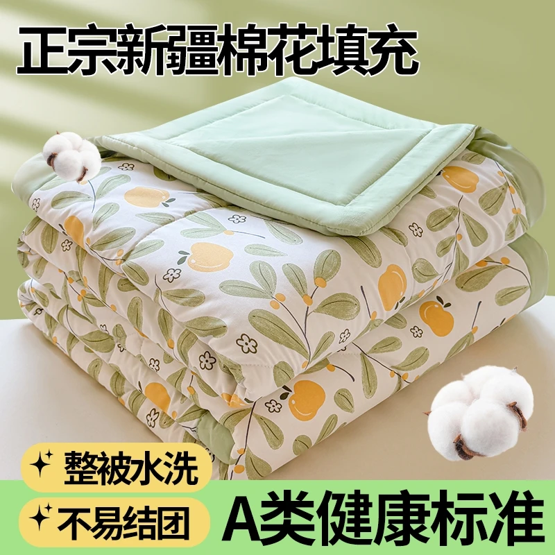 2025新款印花水洗棉新疆棉花夏被沁香园