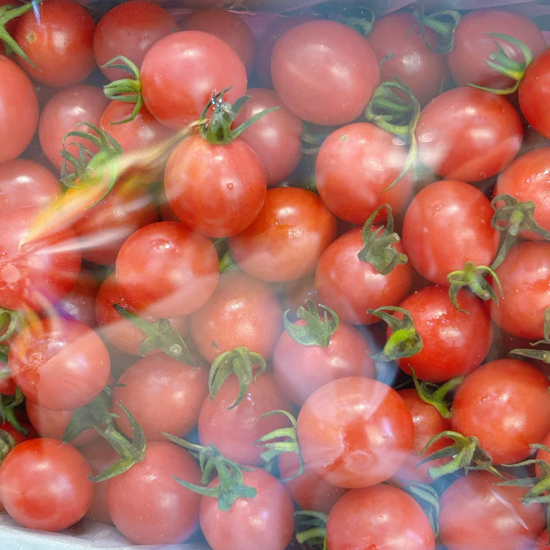 【直播】千禧果小箱1箱 小柿子 2斤左右