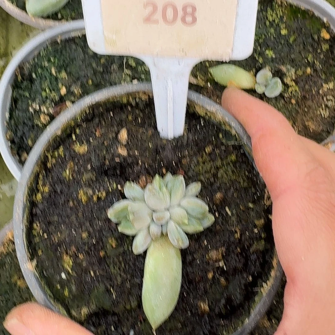 邀约123456789101121