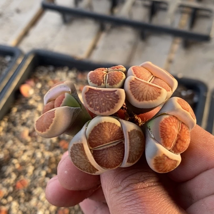 6113一组一组一组